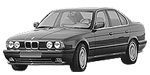 BMW E34 P191D Fault Code